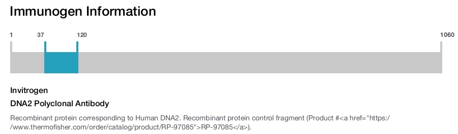 DNA2 Polyclonal Antibody