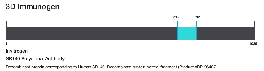 SR140 Polyclonal Antibody