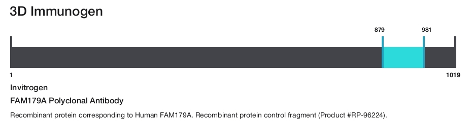 FAM179A Polyclonal Antibody