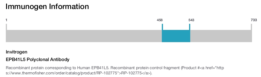 EPB41L5 Polyclonal Antibody