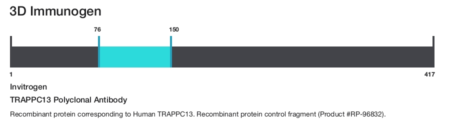 TRAPPC13 Polyclonal Antibody