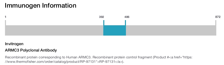 ARMC3 Polyclonal Antibody