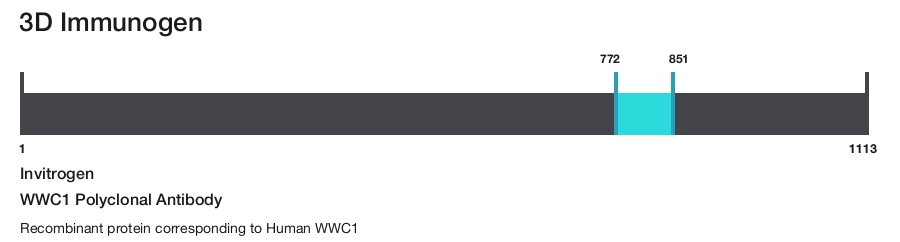 WWC1 Polyclonal Antibody