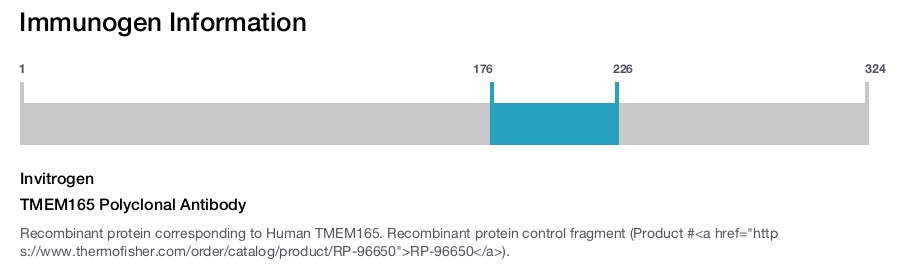 TMEM165 Polyclonal Antibody