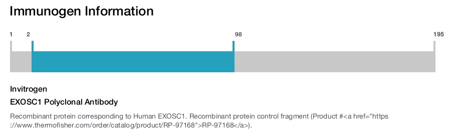 EXOSC1 Polyclonal Antibody