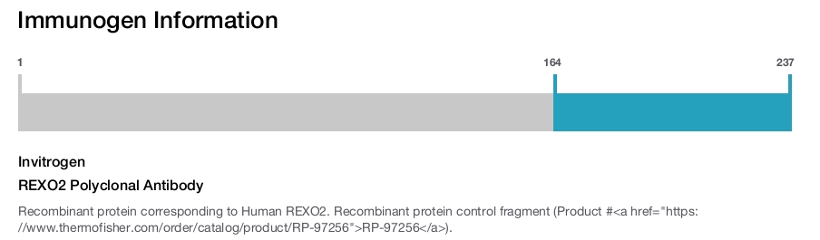 REXO2 Polyclonal Antibody