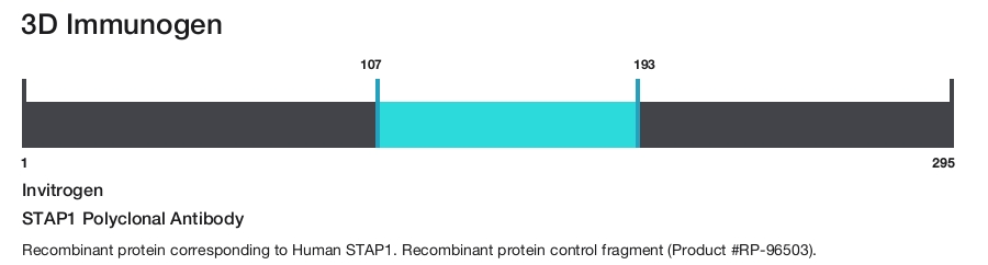 STAP1 Polyclonal Antibody