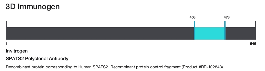 SPATS2 Polyclonal Antibody