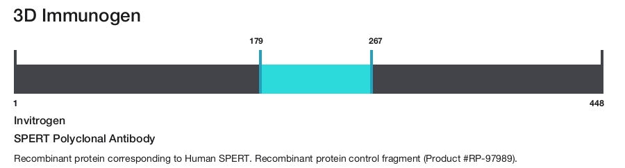 SPERT Polyclonal Antibody