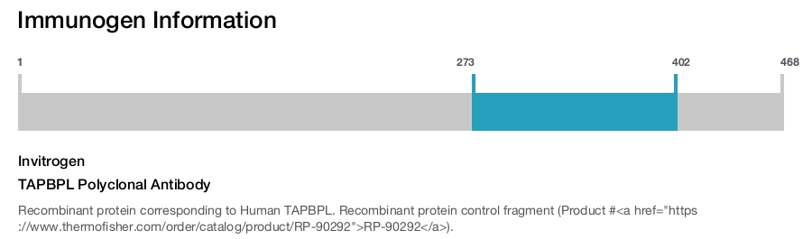 TAPBPL Polyclonal Antibody