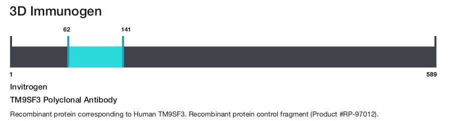 TM9SF3 Polyclonal Antibody