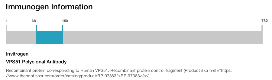 VPS51 Polyclonal Antibody