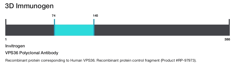 VPS36 Polyclonal Antibody