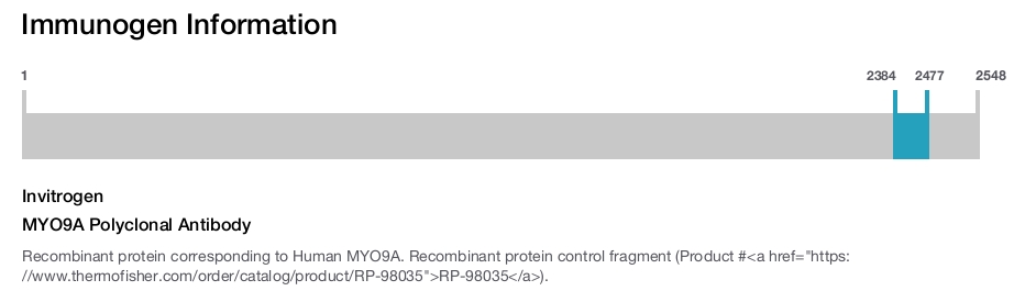 MYO9A Polyclonal Antibody