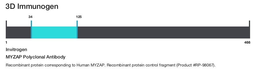 MYZAP Polyclonal Antibody