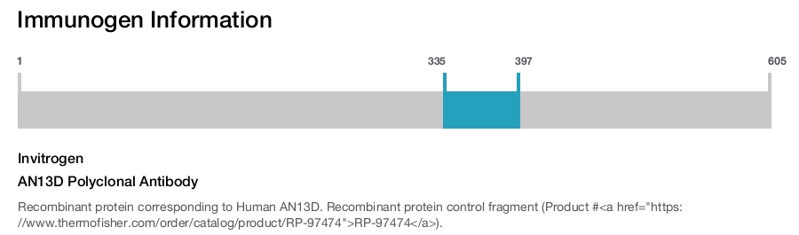 AN13D Polyclonal Antibody