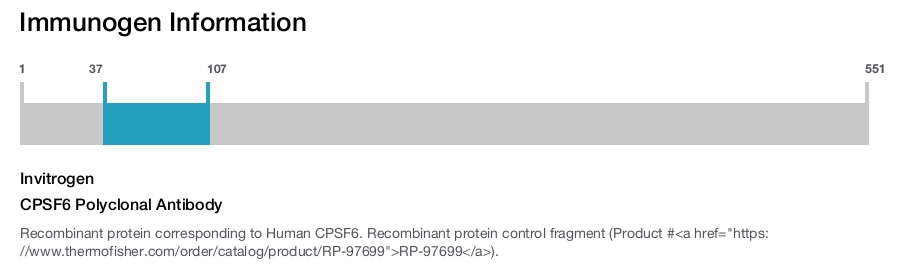 CPSF6 Polyclonal Antibody