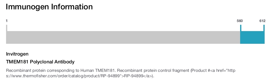 TMEM181 Polyclonal Antibody