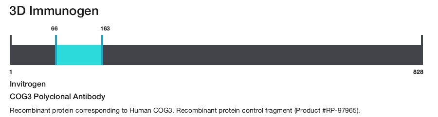 COG3 Polyclonal Antibody