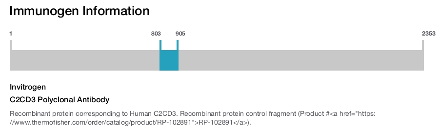 C2CD3 Polyclonal Antibody
