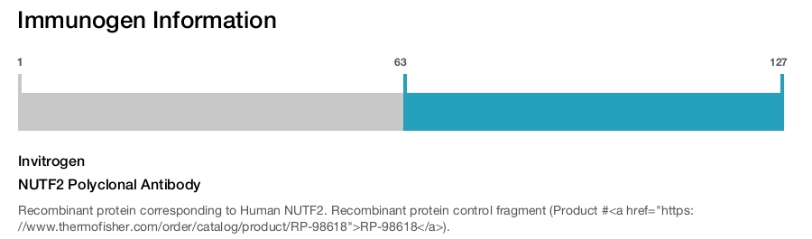 NUTF2 Polyclonal Antibody