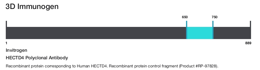 HECTD4 Polyclonal Antibody