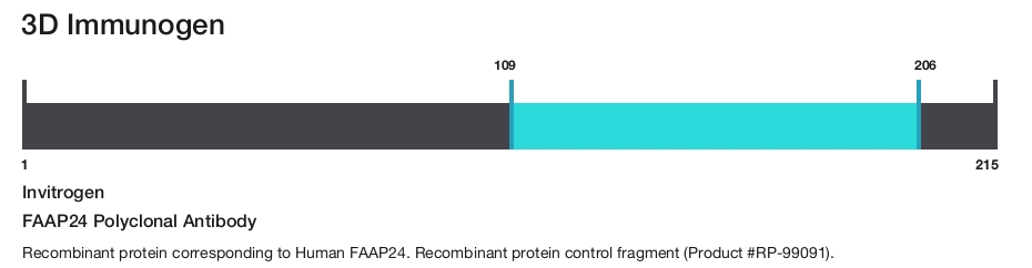 FAAP24 Polyclonal Antibody