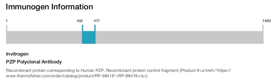 PZP Polyclonal Antibody