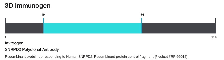SNRPD2 Polyclonal Antibody