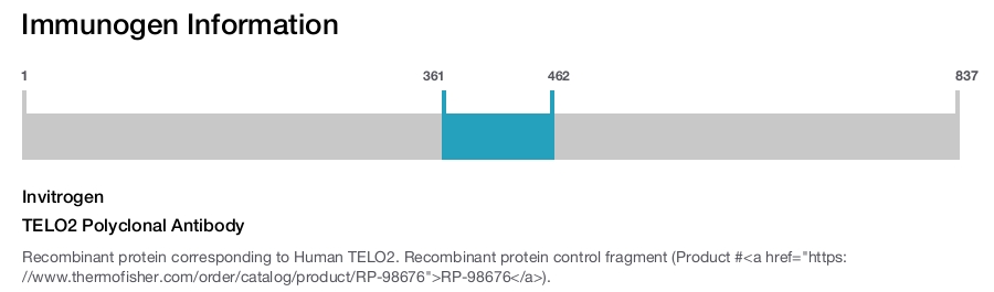 TELO2 Polyclonal Antibody