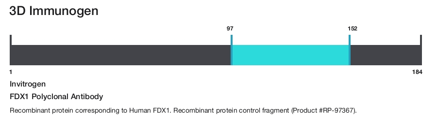 FDX1 Polyclonal Antibody