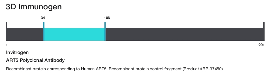 ART5 Polyclonal Antibody