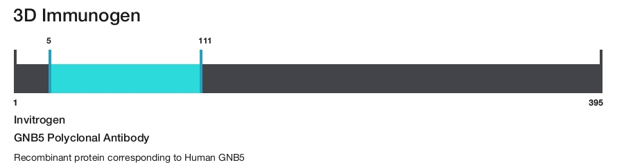 GNB5 Polyclonal Antibody