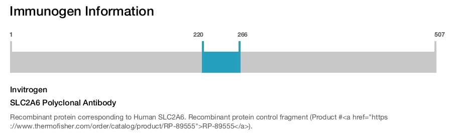 SLC2A6 Polyclonal Antibody
