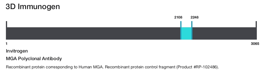 MGA Polyclonal Antibody
