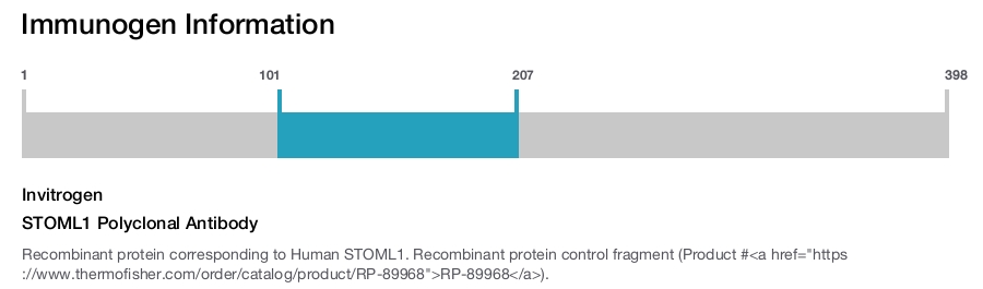 STOML1 Polyclonal Antibody