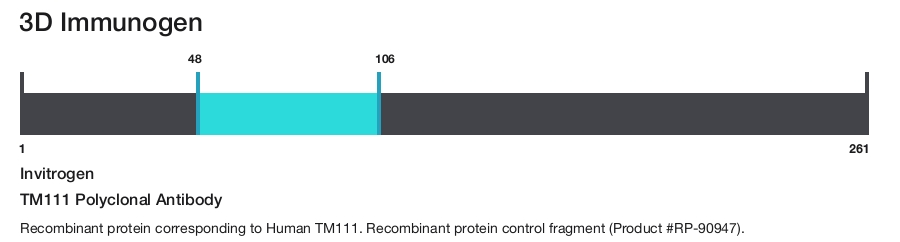 TM111 Polyclonal Antibody