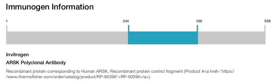 ARSK Polyclonal Antibody