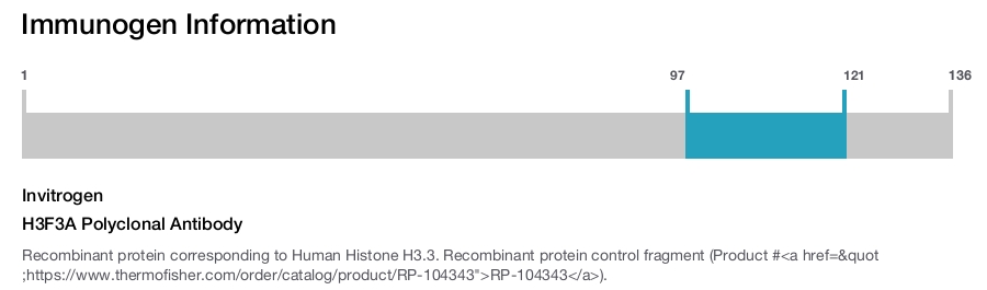 H3F3A Polyclonal Antibody