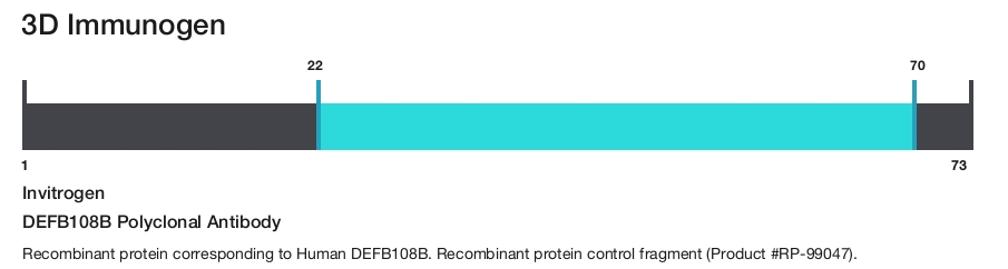 DEFB108B Polyclonal Antibody