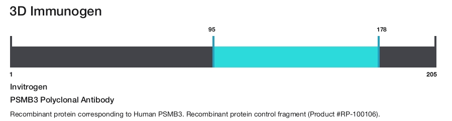 PSMB3 Polyclonal Antibody