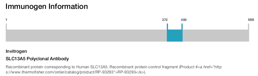 SLC13A5 Polyclonal Antibody