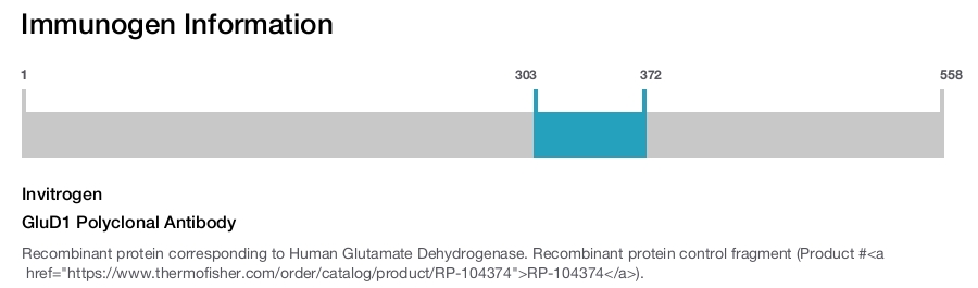 GluD1 Polyclonal Antibody