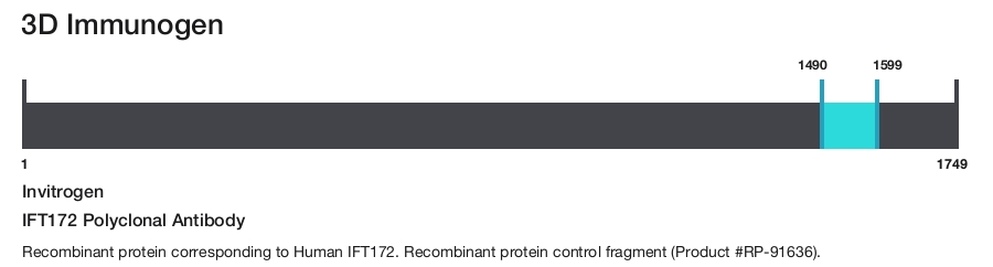 IFT172 Polyclonal Antibody