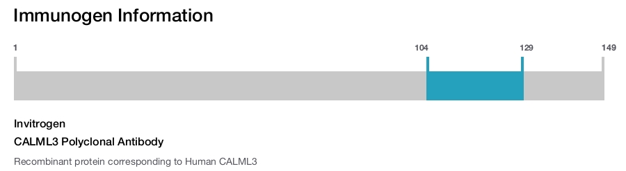 CALML3 Polyclonal Antibody