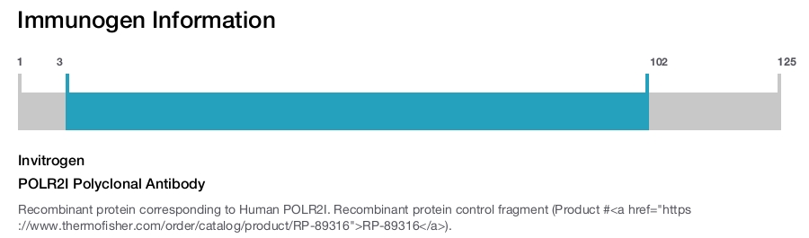 POLR2I Polyclonal Antibody