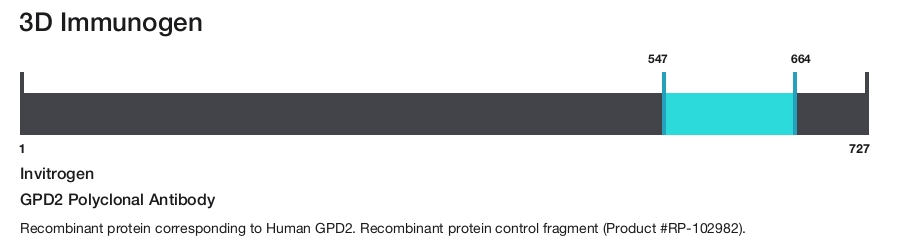 GPD2 Polyclonal Antibody
