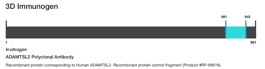 ADAMTSL2 Polyclonal Antibody