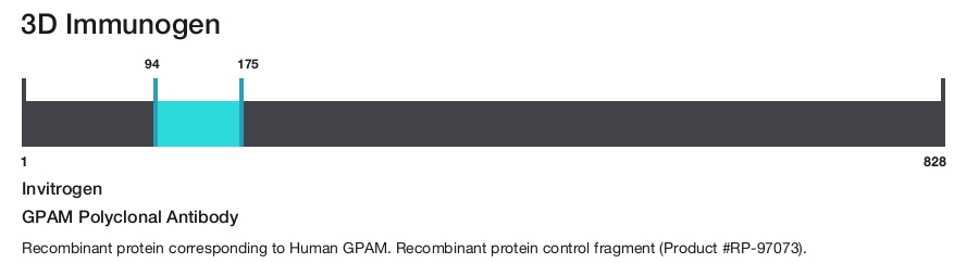 GPAM Polyclonal Antibody