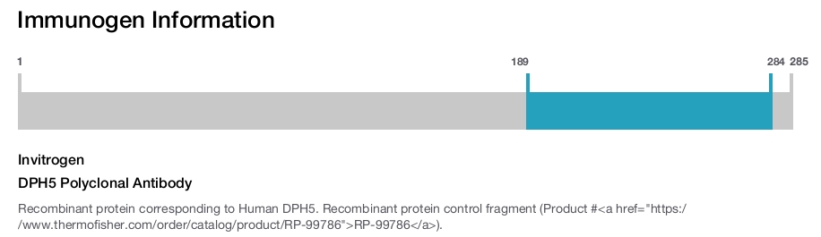 DPH5 Polyclonal Antibody